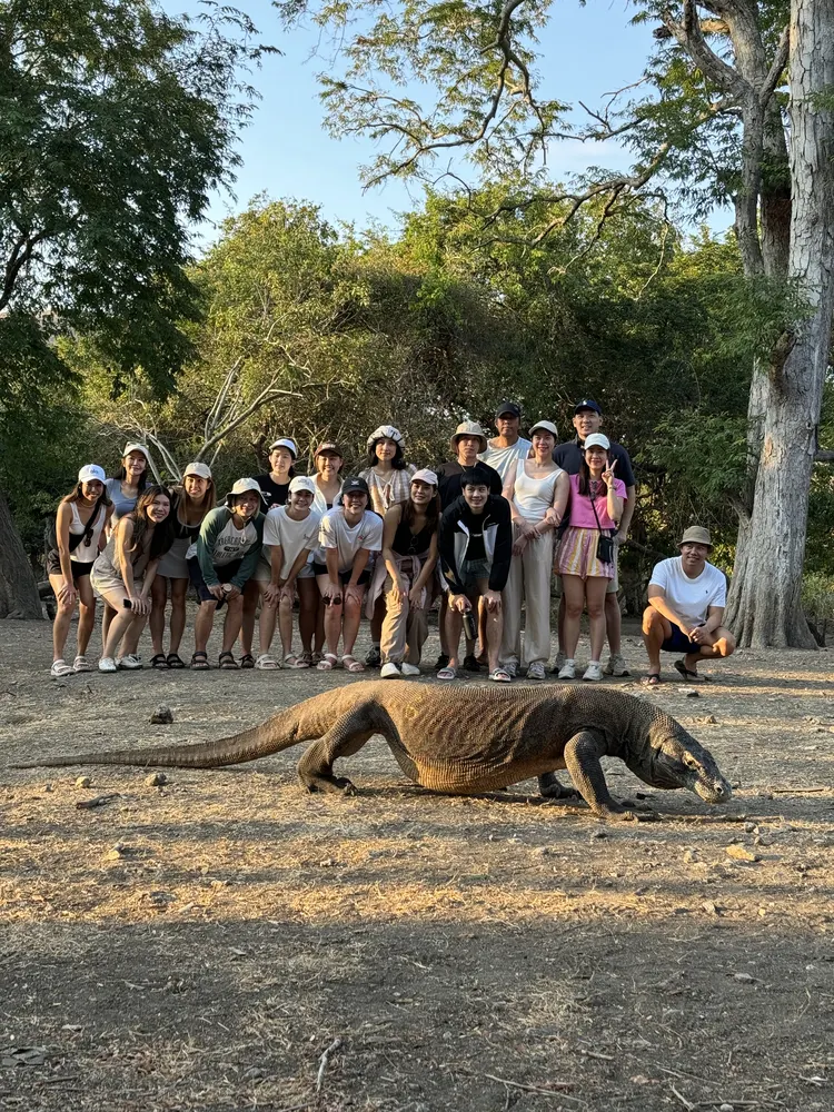 Meeting a Komodo dragon on land day