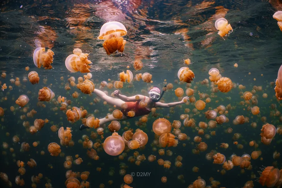 Raja Ampat trip cover